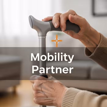 A Complete Guide to Adjustable Walking Sticks for Seniors: Your Partner in Mobility